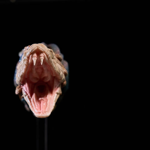 M288- Anime Fake Pussy Silicone Sex Doll | MRL-3.32 lbs