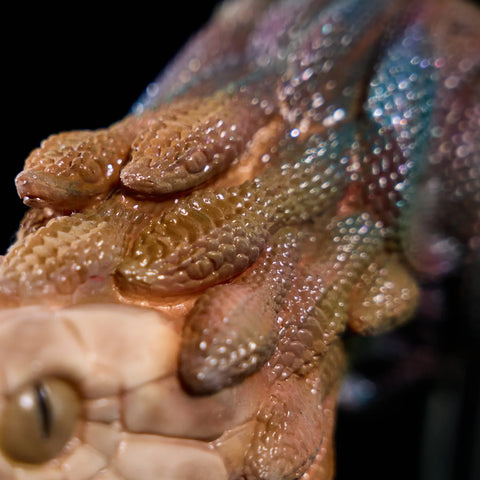 M288- Anime Fake Pussy Silicone Sex Doll | MRL-3.32 lbs